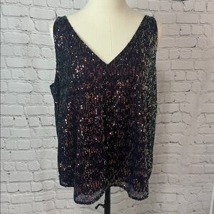 3/$40🎉🎉 Loft Multicolor Sequin Double V Neck Sleeveless Blouse XL NEW
